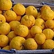 収穫から行う自慢の柚子酒は平本家秘伝のレシピ！