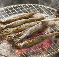 料理メニュー写真&nbsp;子持ちししゃもの炙り焼き