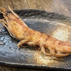 天使の海老
