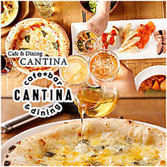 キャンティーナ CANTINA 立川の特集写真