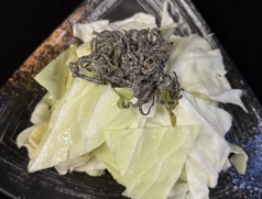 塩昆布キャベツ
