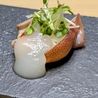 サカナノウタのおすすめポイント3