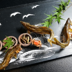日本料理 きん魚のコース写真