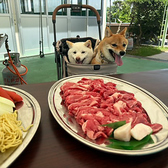 西尾ゴルフBBQ場のおすすめ料理3