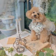 季節やイベントで変わるフォトスポット♪コラボも注目