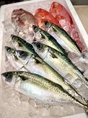 旬の鮮魚・海鮮をご用意！鮮魚店直営ならではの新鮮な魚介をお楽しみください！