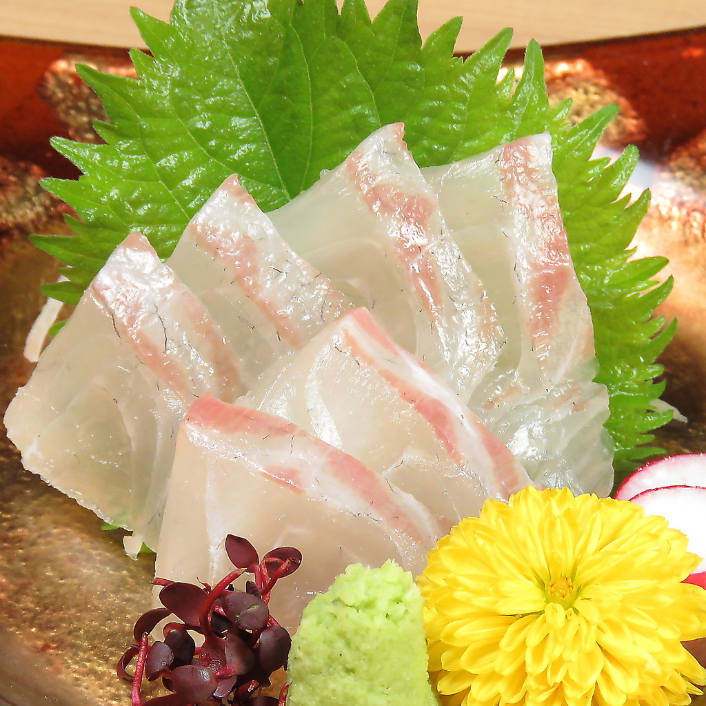 熊本天草の新鮮な魚を刺身・姿造りでご提供！宴会コースなら刺身もお肉もご堪能いただけます♪