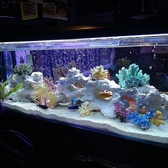 温菜創彩ダイニング Shun 都賀店の詳細