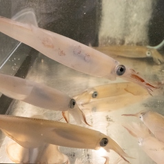 完全個室　大衆そば酒場永山　御茶ノ水店のおすすめ料理1