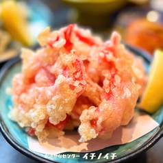 紅しょうが天ぷら