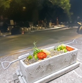 鉄板 珊瑚 栄の雰囲気2