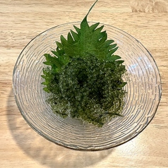海ブドウ