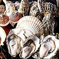 ウミイロサカバ 名駅のコース写真