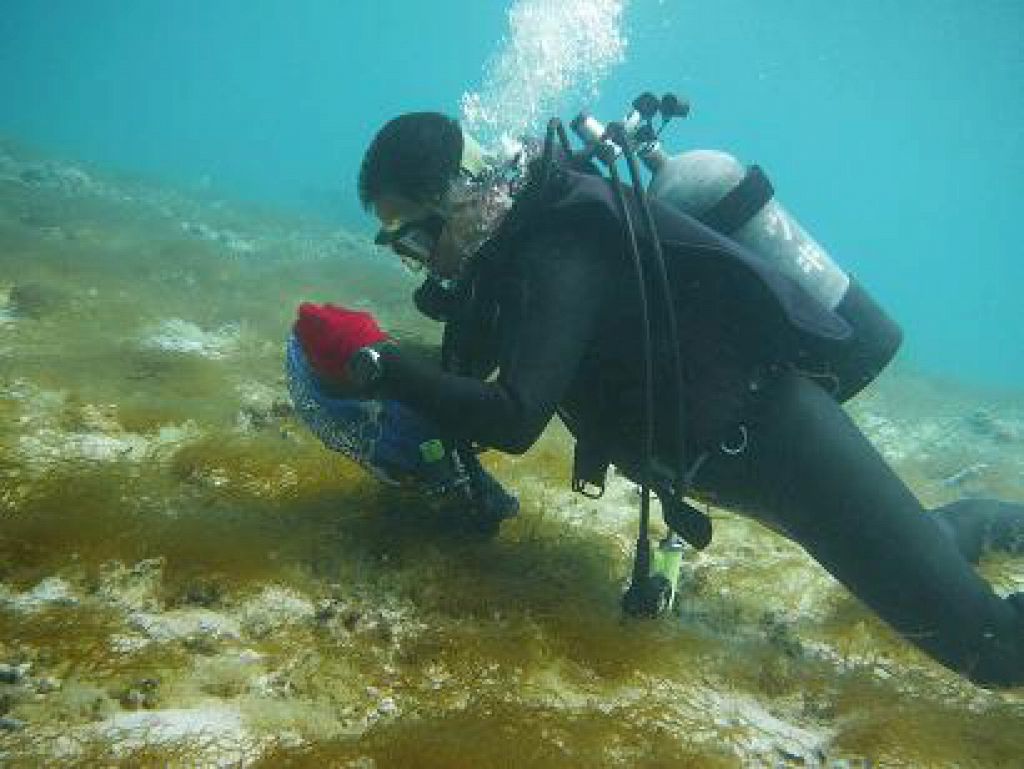 今まさに大将が食材を仕入れているところです。この後皆さんのもとへお届けします♪