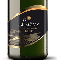 スパークリングワイン　『ラルス』　辛口
