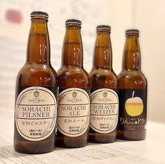 【滝川クラフトビール】リンゴ＆ドライ