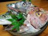 魚匠 銀平 和歌山本店のおすすめポイント1