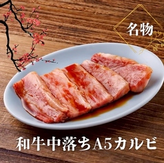 黒毛和牛A5中落ちカルビ