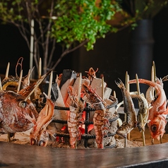 炉端×寿司 天神Hana/Robata×Sushi Hana Tenjinの写真2