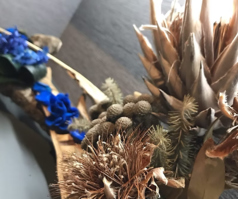 DRAMATIC ART BAR EGGPLANTの特集写真