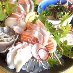 刺身盛り合わせ　日替わり【6種】