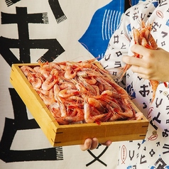 北海道旬菜旬宴驚キ海鮮居酒屋うおっと　魚人　函館五稜郭店の特集写真