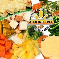 アーモンドツリーのコース写真