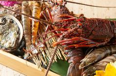 鉄板焼 煌の特集写真