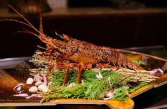 鉄板焼 煌の特集写真