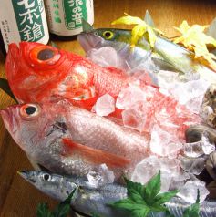 毎朝中央市場で目利きして鮮魚を仕入れてます！！