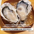 料理メニュー写真&nbsp;生牡蠣 2個