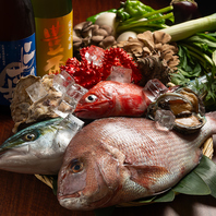 新鮮な海鮮をご提供！