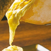 ラクレット チーズ フロマージュの詳細