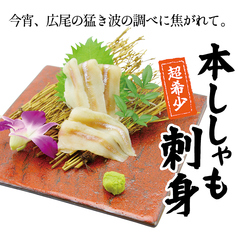 超希少！北海道十勝港 本ししゃも刺