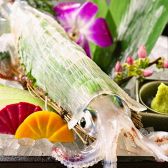 どげん海の写真