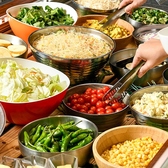 メガインディアンズ ステーキハウス 緑白土店の雰囲気2