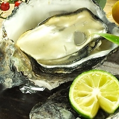 鉄焼酒房 蜂ヤ 本店特集写真1