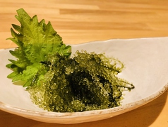 海ぶどう