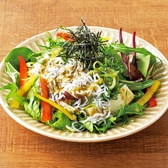 高知産しらすと九条ねぎの豆冨サラダ