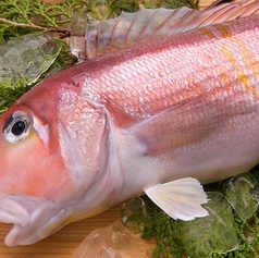 えん　風雅のコース写真