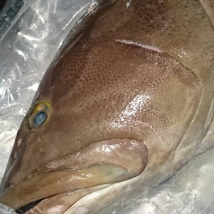 本クエ（冬季限定）