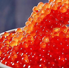 囲 明石駅前店特集写真1