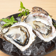 岩牡蠣　1個