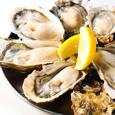 カキノバル下北沢のコース写真