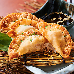 馬肉の揚げ餃子