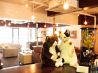 Cat cafe Miysis キャット カフェ ミーシス 猫カフェのおすすめポイント1