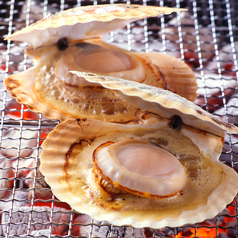 海の恵みを豪快に味わう浜焼き