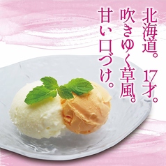 北海道 メロンアイスとミルクアイス