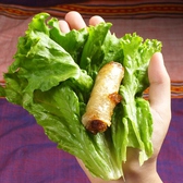 生野菜で巻こう【2】・・・バインセオやチャーゾーなど、具をのせます