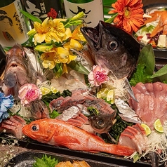 阿波旬彩 たいのたいの特集写真